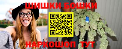 прущие крисы Кандалакша